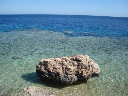 Dessole Nesco Joyous 4*